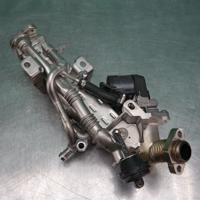 11717822346 EGR BMW [1]