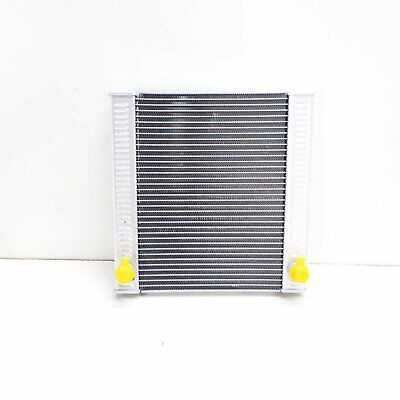 17118620207 RADIATOR AUXILIAR BMW [1]