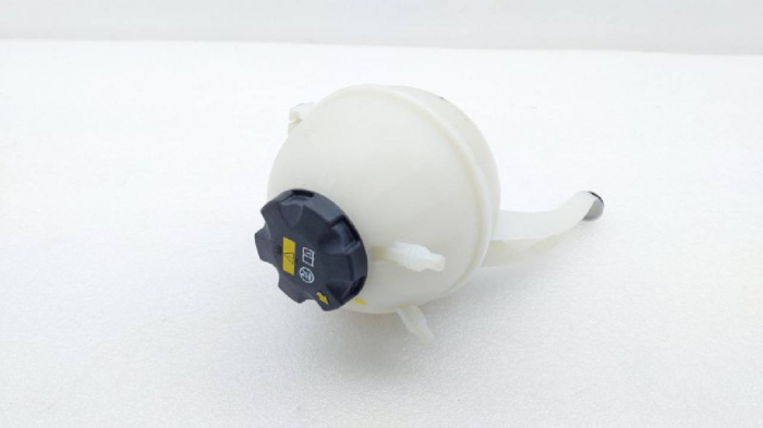 17135A6A031 Vas expansiune - BMW X5 G05, X5L G18, X6 G06, X7 G07, XM G09 [1]