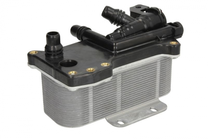 17217638582 RADIATOR ULEI BMW SERIA 5 F07 F10 F11 [1]