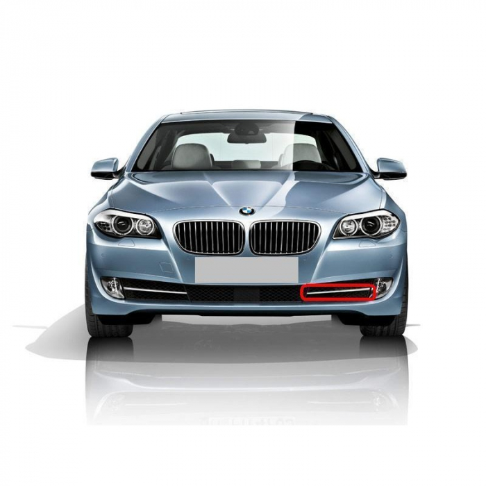 51117231860 ORNAMENT DR BMW SERIA 5 F10 F11 [1]