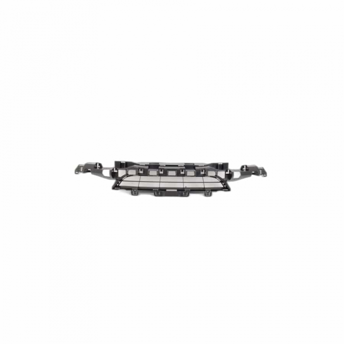 51117293808 GRILA BMW SERIA 3 F34 [1]