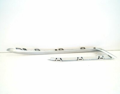 51117331719 ELEMENT GRILA STG BMW SERIA 5 F07 [1]