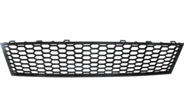 51118050020 GRILA M BMW SERIA 5 F07 [1]