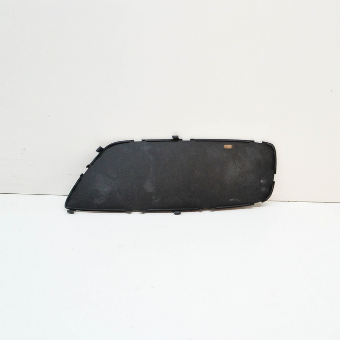 51118057336 GRILA DR BMW SERIA 5 F07 [1]