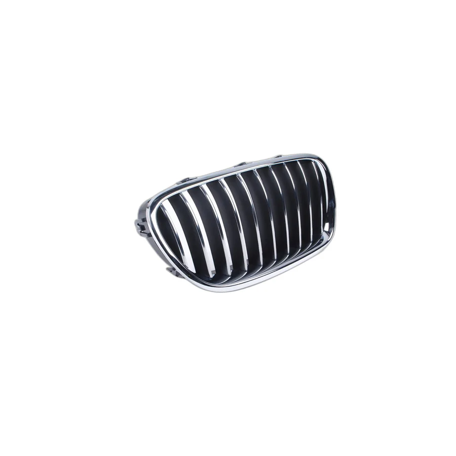 51137203204 GRILA DR BMW SERIA 5 F10 F11 [1]