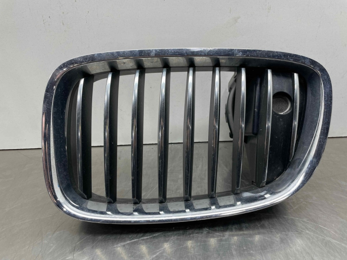 51137203205 GRILA STG BMW SERIA 5 F07 [1]