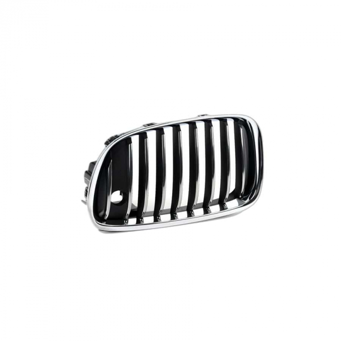51137336483 GRILA STG CU NIGHT VISION BMW SERIA 5 F07 LCI [1]