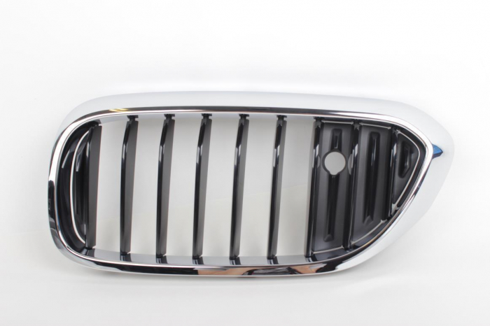 51137381902 GRILA DR BMW SERIA 5 G30 G31 [1]