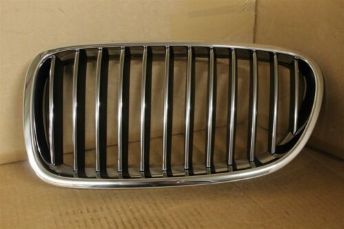 51137412328 GRILA DR BMW SERIA 5 F10 F11 LCI [1]