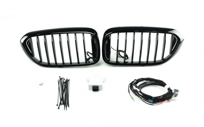 63172466465 GRILA FATA ICONIC GLOW M BMW SERIA 5 G30 G31 [1]
