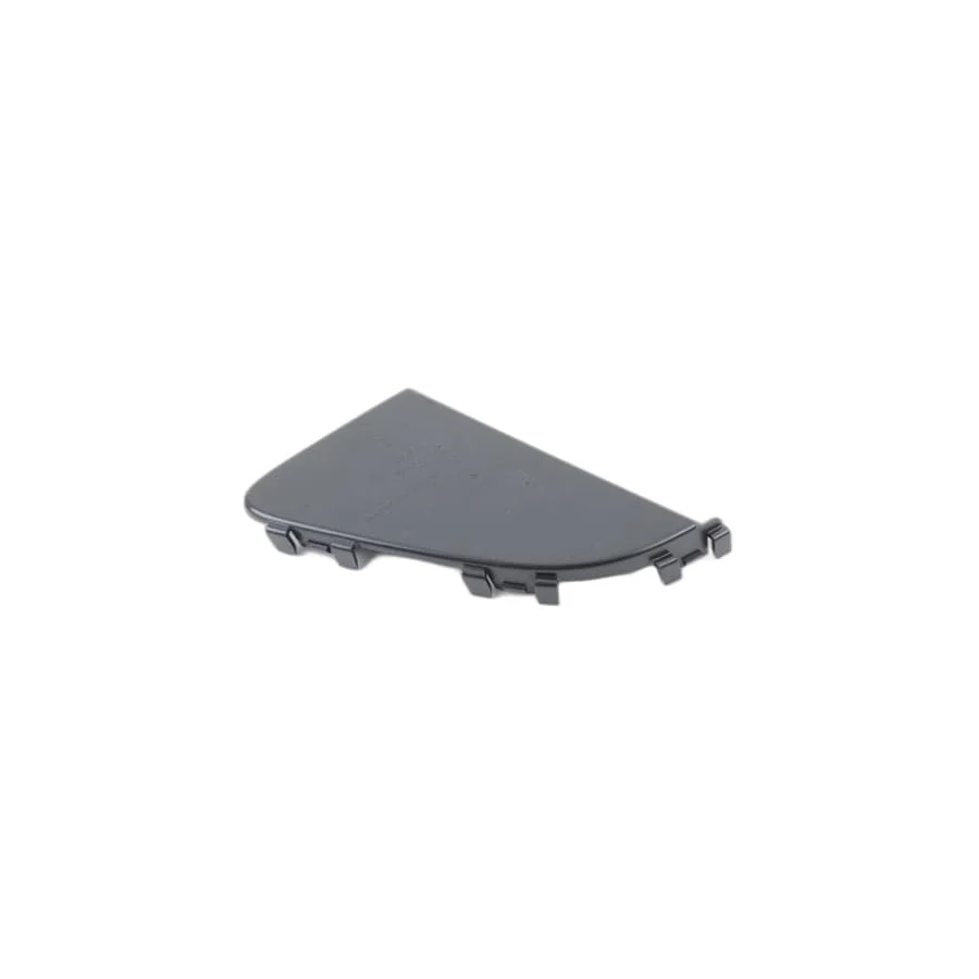 CAPAC DR GRILA CENTRALA BARA FATA O.E. 51117374206 - BMW X1 F48 F49 [1]