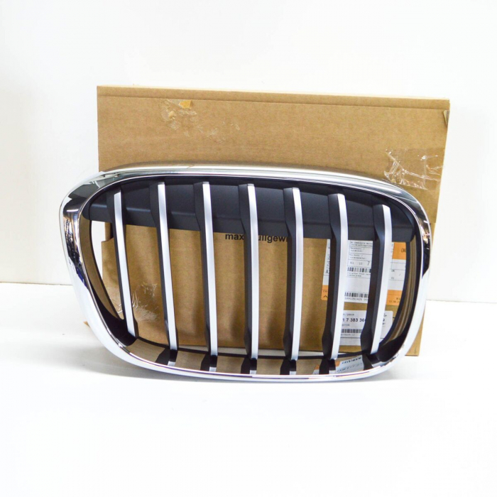 GRILA RADIATOR DR XLINE O.E. 51117383366 - BMW X1 F48 F49 [1]