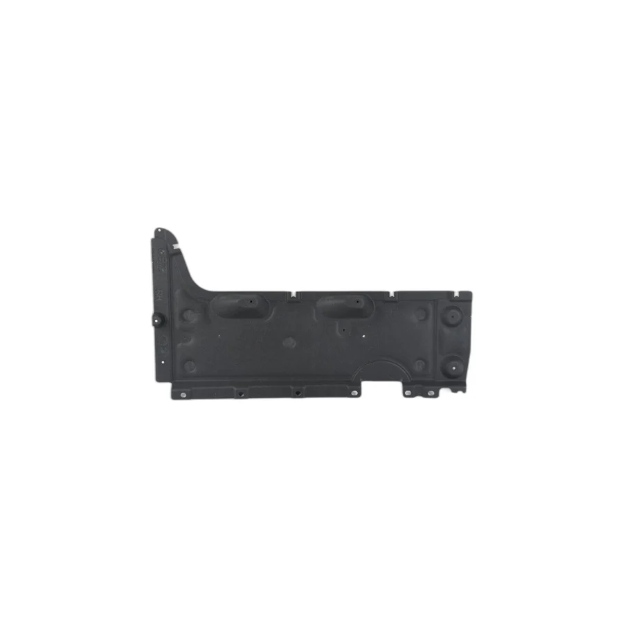 SCUT LATERAL DR SPRE FATA O.E. 51757348760 - BMW X3 F25 , X4 F26 [1]