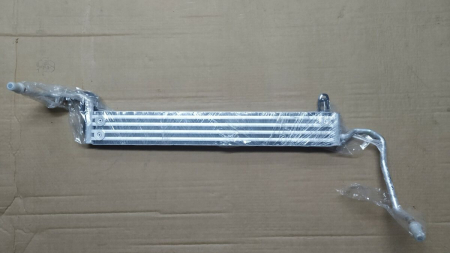 Radiatoare - 17217519215 RADIATOR RACIRE SERVO BMW