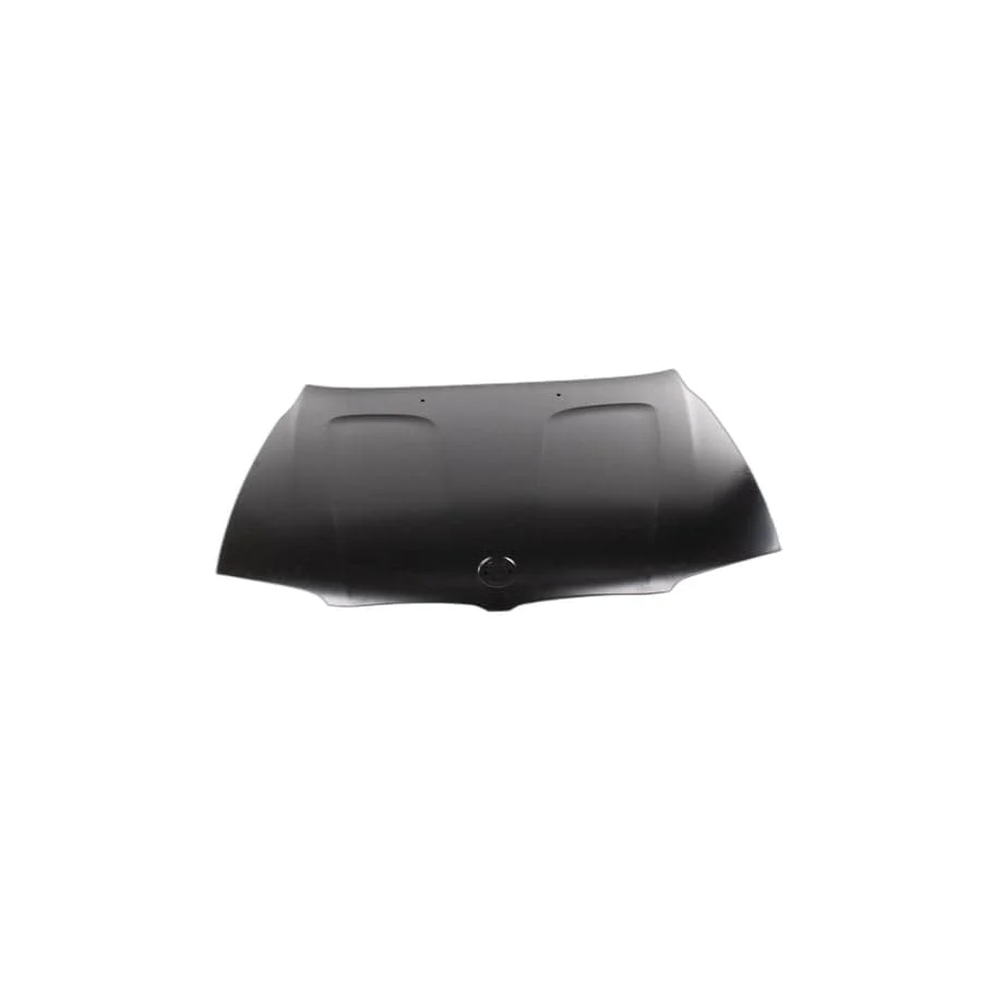 Capota - 41003449411 CAPOTA MOTOR BMW X3 E83