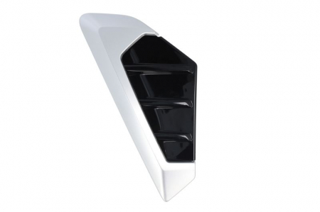 Elemente caroserie - 51115A49886 ELEMENT Aripa DR BMW X5 G05