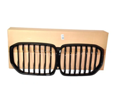 Elemente caroserie - 51138096591 Grila fata High-Gloss Shadow-Line, Night Vision, Person Recognition - BMW X5 G05