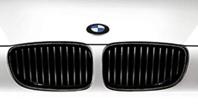 Caroserie - 51712150367 GRILA STANGA BMW SERIA 1 E81 E87