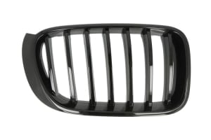 Elemente caroserie - 51712337763 Grila frontala STG (M-PAKIET, negru lucios) se potrivește: BMW X3 (F25), X4 (F26)