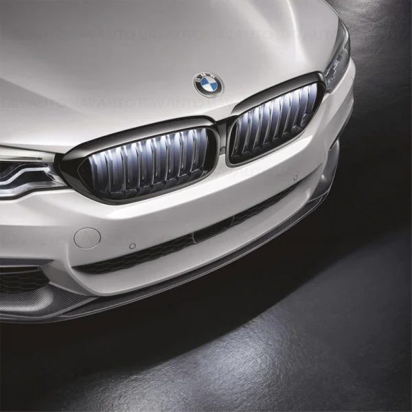 Elemente caroserie - Grila fata ornamentala Iconic Glow M Performance O.E. 63175A0E283 - BMW SERIA 5 G30 G31