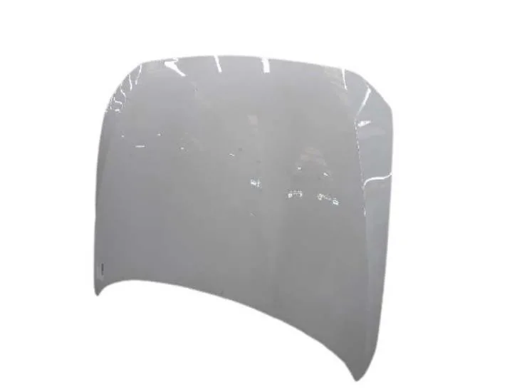 Capota - CAPOTA MOTOR O.E. 41007290942 -  BMW SERIES 1 (F21/20)