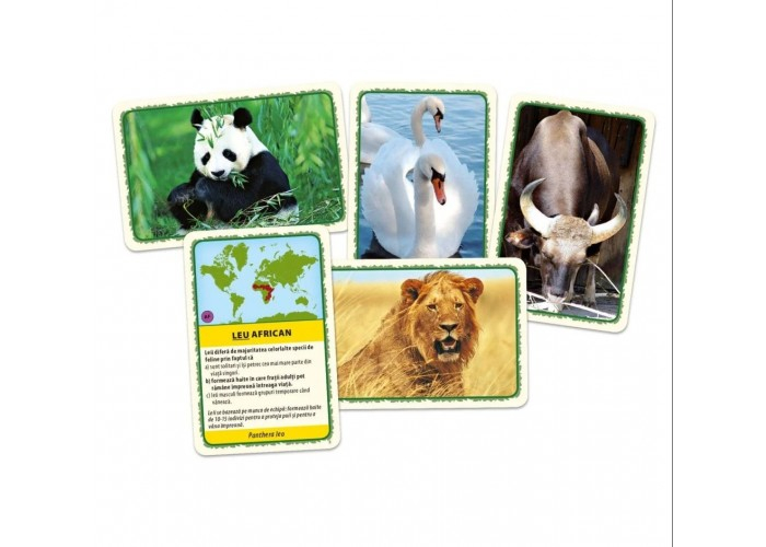 Animalele lumii – Joc educativ [2]