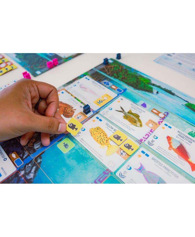 Finspan – Joc de strategie (EN) [2]