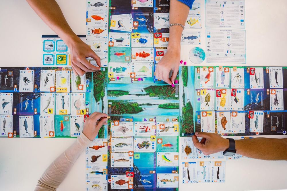 Finspan – Joc de strategie (EN) [3]