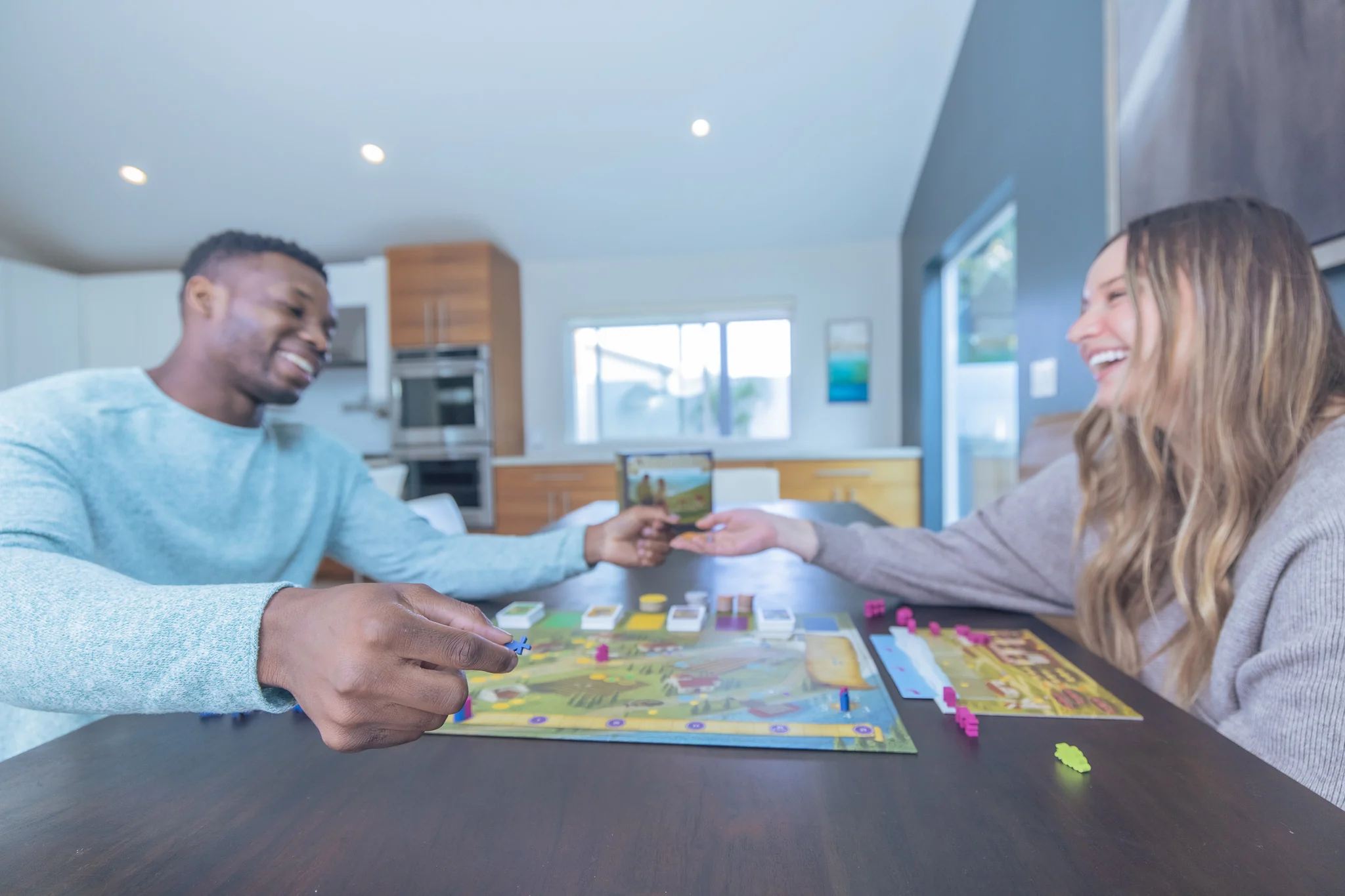 Viticulture Essential Edition (EN) [4]