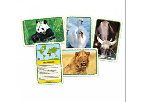 Animalele lumii – Joc educativ [1]