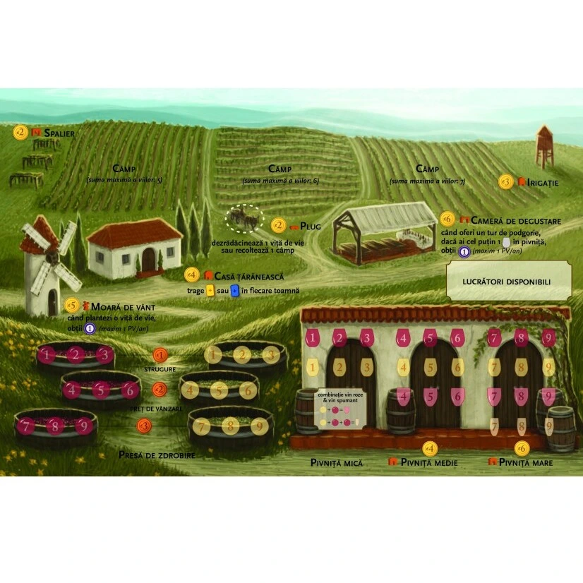 viticultura-viticulture-essential-edition-romana [1]