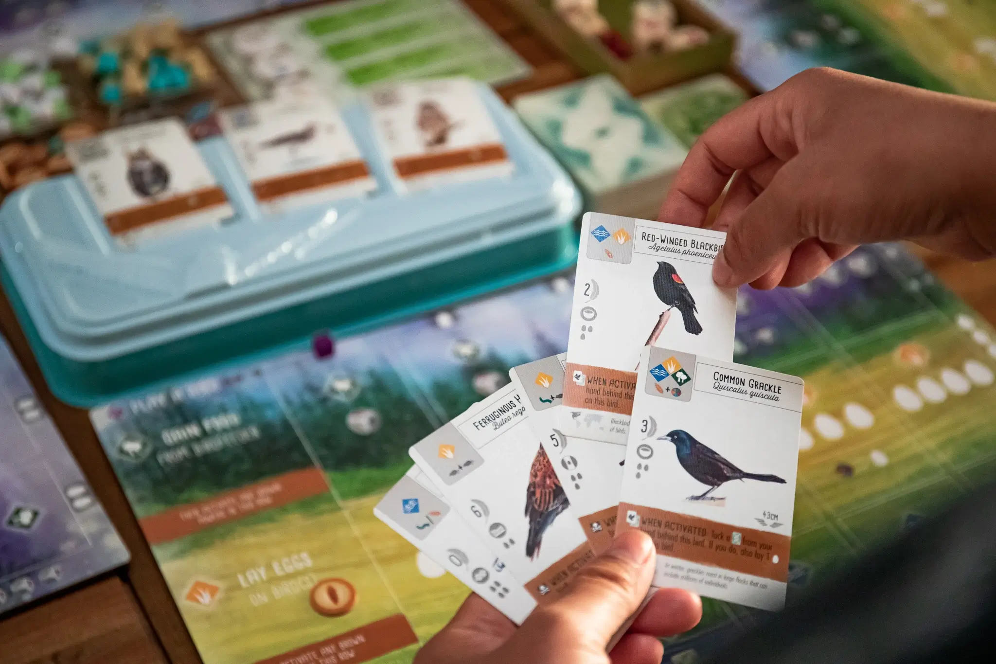 Wingspan - (EN + Swift-Start) [1]