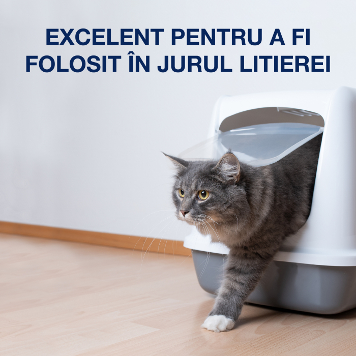 Bona Pet System™ Wood Floor Deep Cleaner 1L [5]