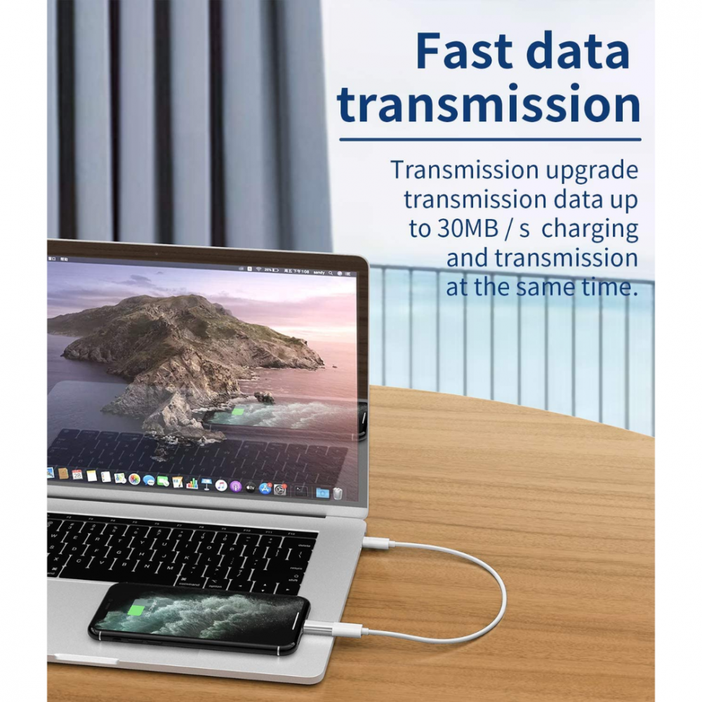 Adaptor Lightning la USB Type-C [4]