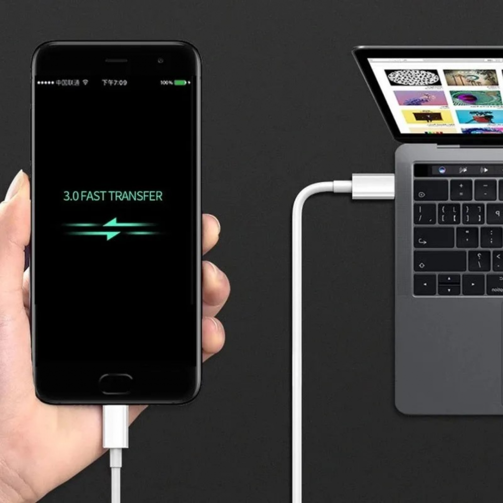 Cablu USB-C la USB-C, 1m, gri [4]