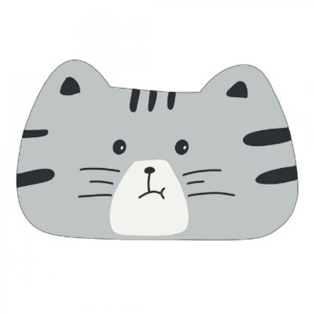 Covoraș antiderapant absorbant pentru baie/bucătărie, model Tigrișor [3]