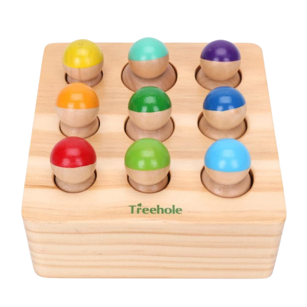 Joc Montessori cu pioni din lemn [7]