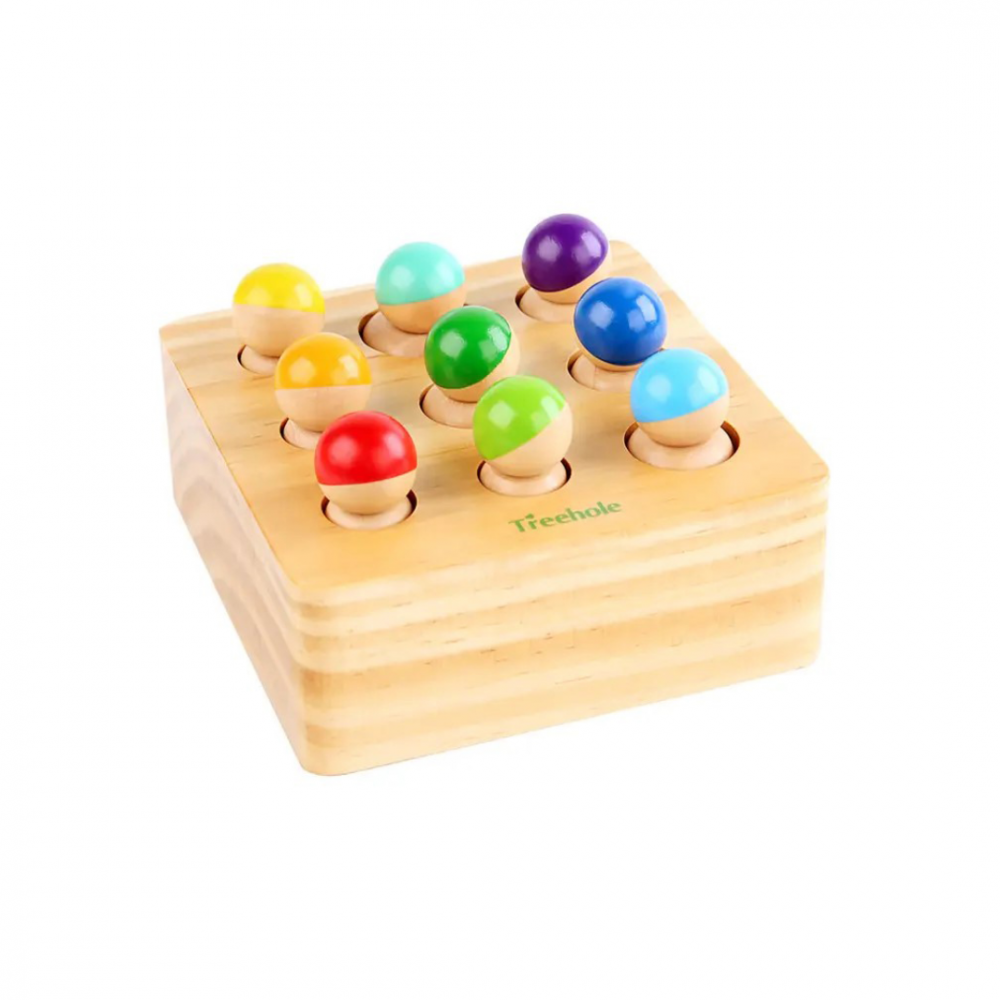 Joc Montessori cu pioni din lemn [1]