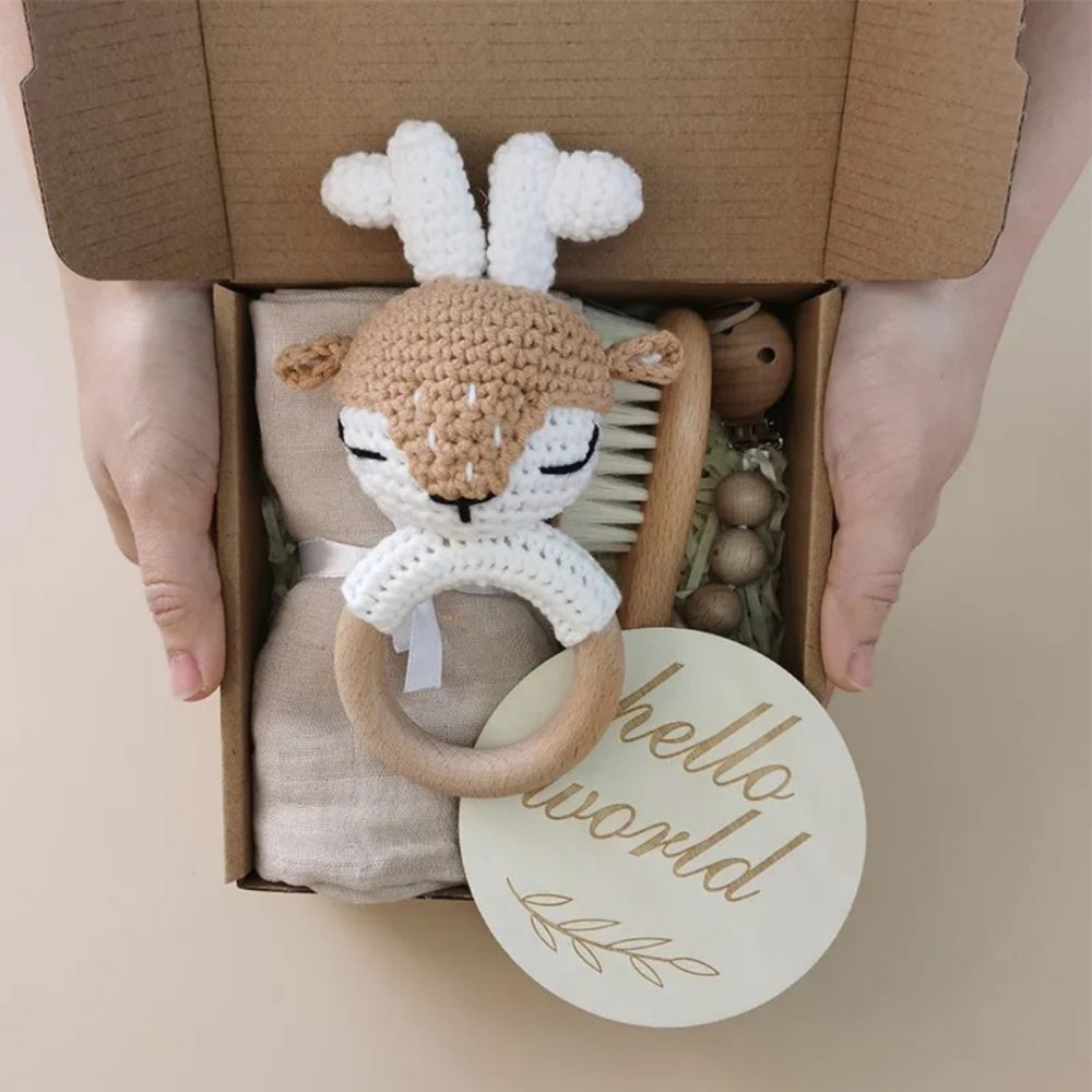 Set bebelusi "Hello World", model Ren [3]