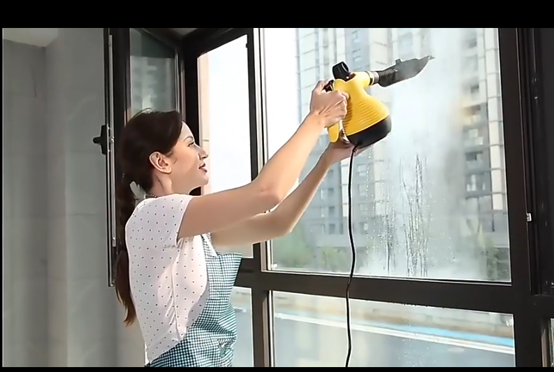 Set cu aparat de curatat manual cu abur [4]