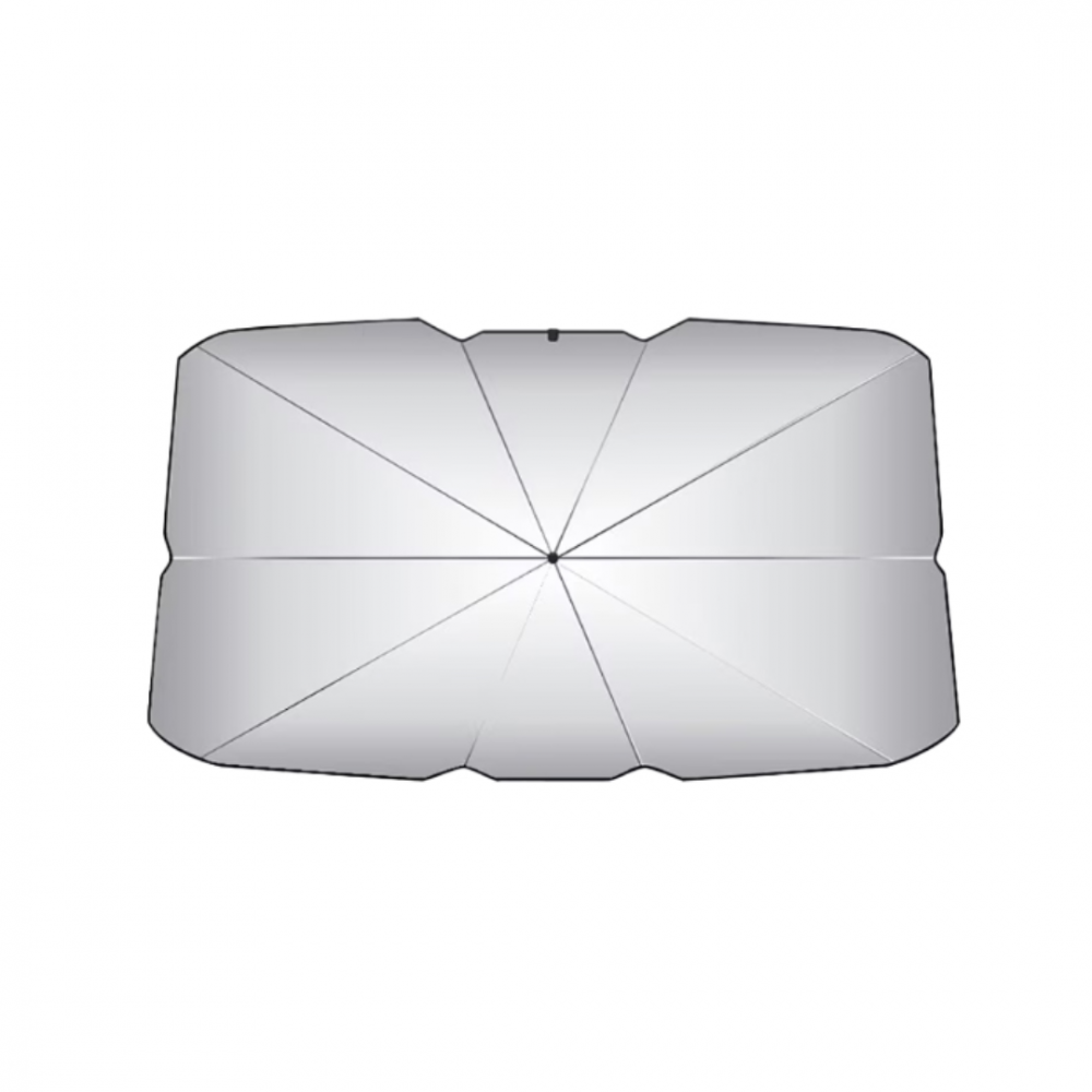 Umbrelă de bord [1]