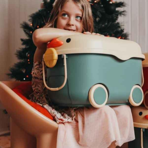 Cutie depozitare jucării pentru copii, model rățușcă, turcoaz [3]