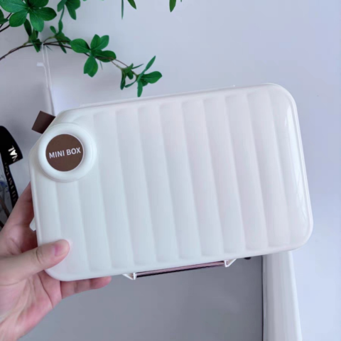 Cutie organizatoare pentru medicamente, mărime L, Bej [3]