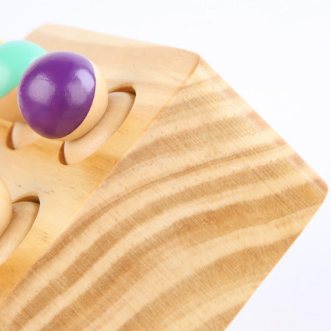 Joc Montessori cu pioni din lemn [7]