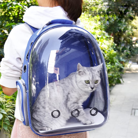 Rucsac transport animale cu greutate maximă 6.5 kg, hublou transparent, buzunar lateral, albastru [3]