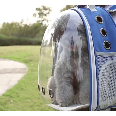 Rucsac transport animale cu greutate maximă 6.5 kg, hublou transparent, buzunar lateral, albastru [2]