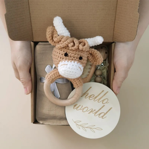 Set bebelusi "Hello World", model Vacuta [1]