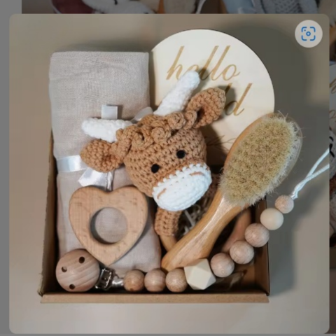 Set bebelusi "Hello World", model Vacuta [3]