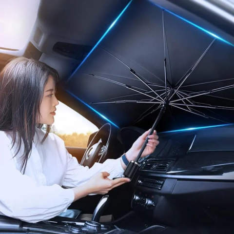 Umbrelă de bord [4]